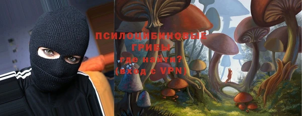 дживик Нязепетровск