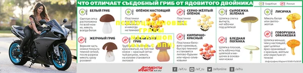 дживик Нязепетровск