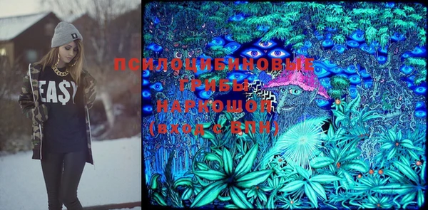 дживик Нязепетровск